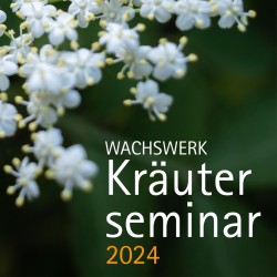 Kräuterseminar "Grüne Speisekammer", 05.06.2024